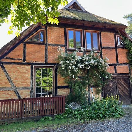 Pfarrhaus Tollensesee Penzlin Exteriör bild