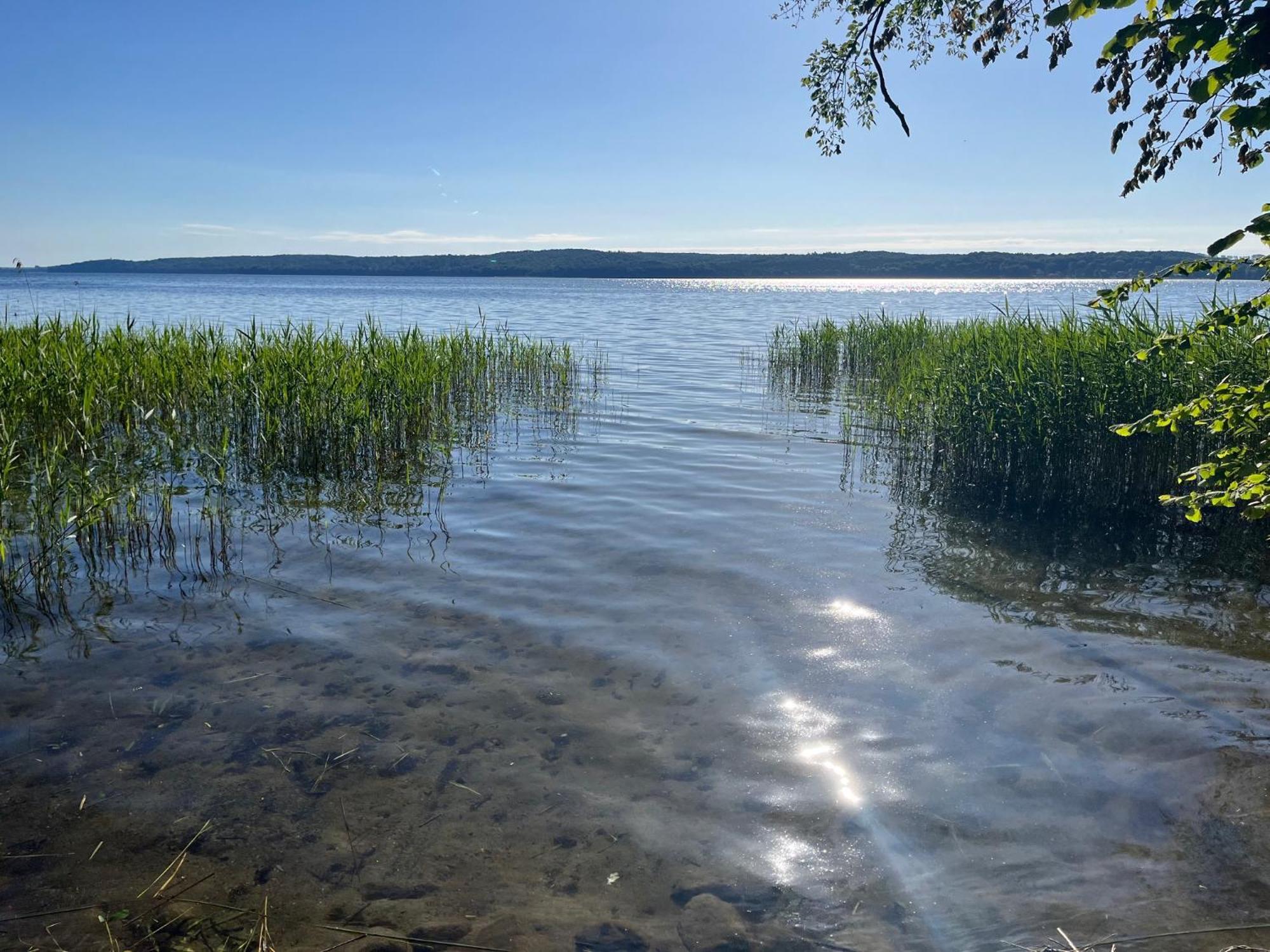 Pfarrhaus Tollensesee Penzlin Exteriör bild
