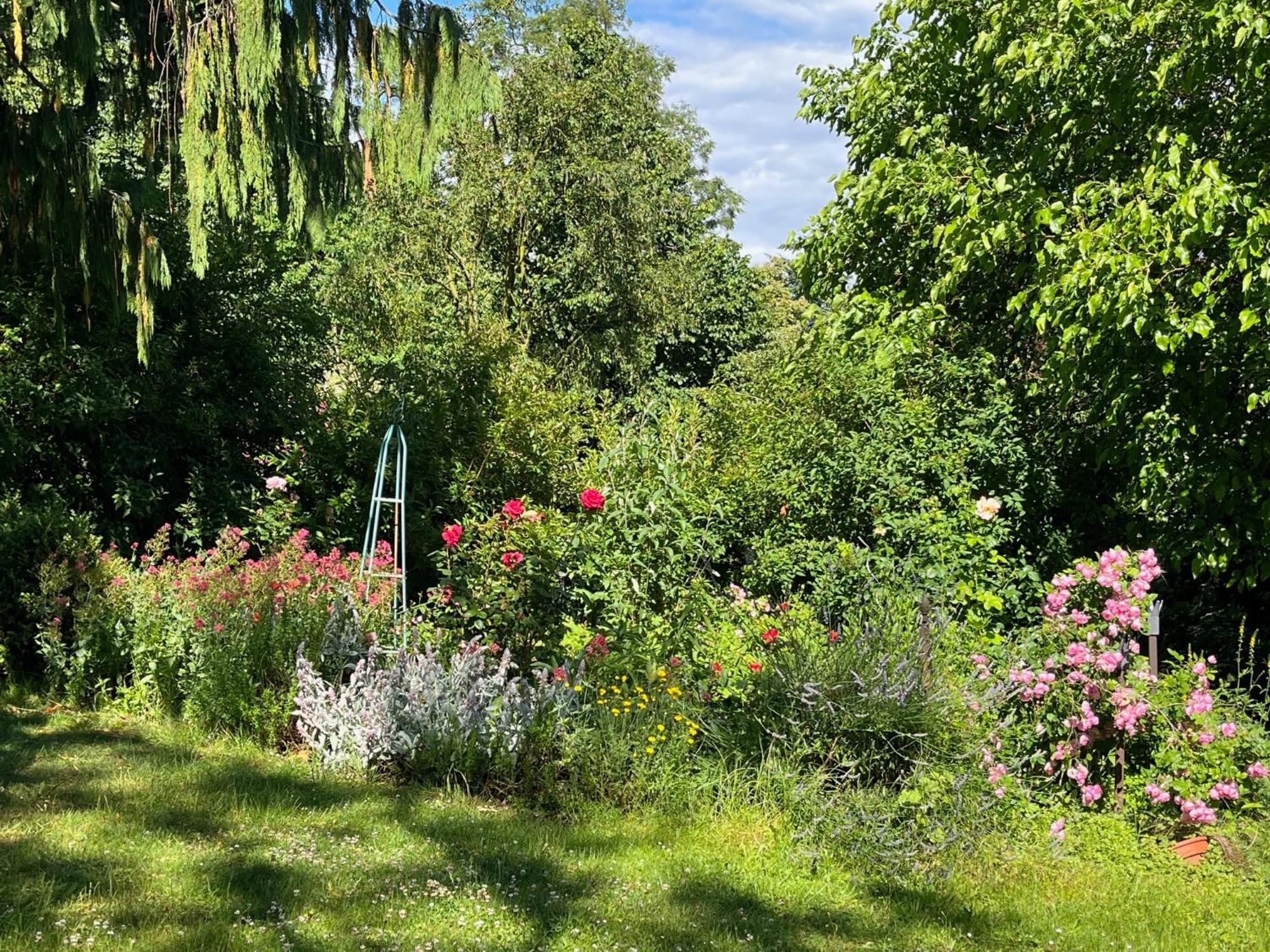 Pfarrhaus Tollensesee Penzlin Exteriör bild