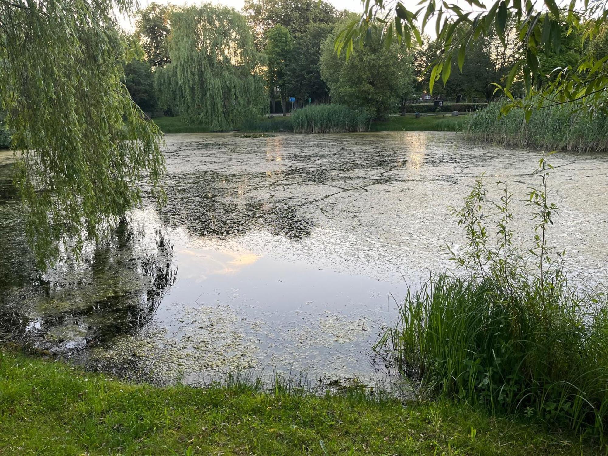 Pfarrhaus Tollensesee Penzlin Exteriör bild